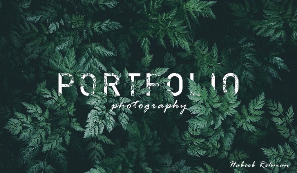 portfolio